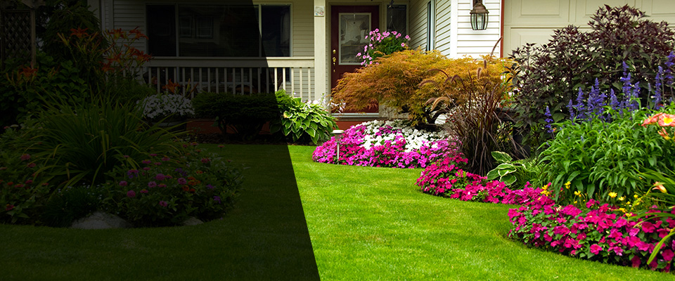 North Tazewell Landscapers