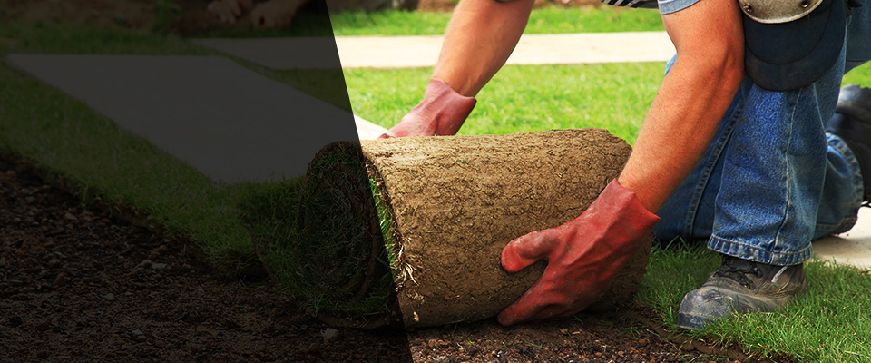 North Tazewell Landscapers